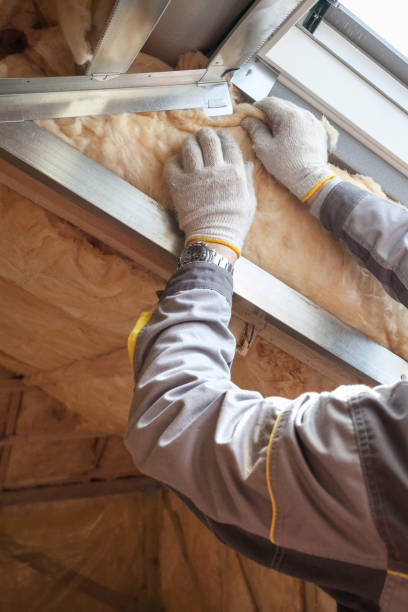 Best Insulation Maintenance and Repair in New Paris, OH